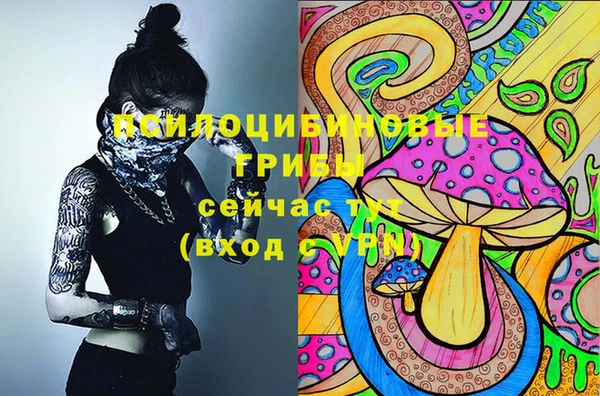 мдма Корсаков